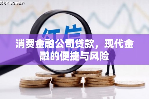 龙山消费金融公司贷款，现代金融的便捷与风险