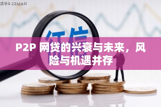 龙山P2P 网贷的兴衰与未来，风险与机遇并存