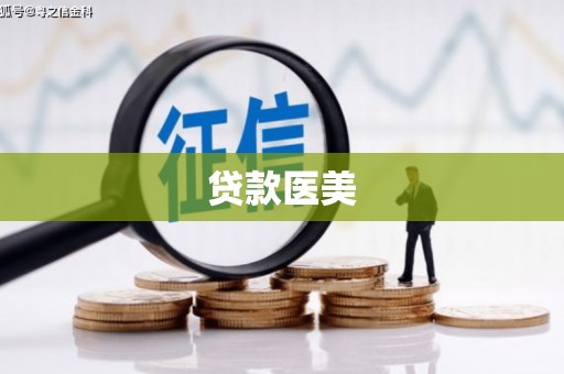 龙山贷款医美
