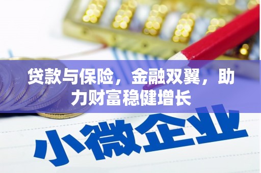 龙山贷款与保险，金融双翼，助力财富稳健增长
