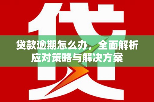 龙山贷款逾期怎么办，全面解析应对策略与解决方案
