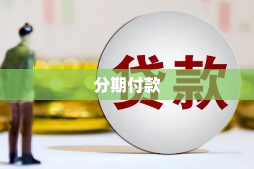 龙山分期付款