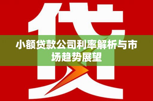 龙山小额贷款公司利率解析与市场趋势展望