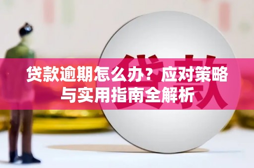 龙山贷款逾期怎么办？应对策略与实用指南全解析