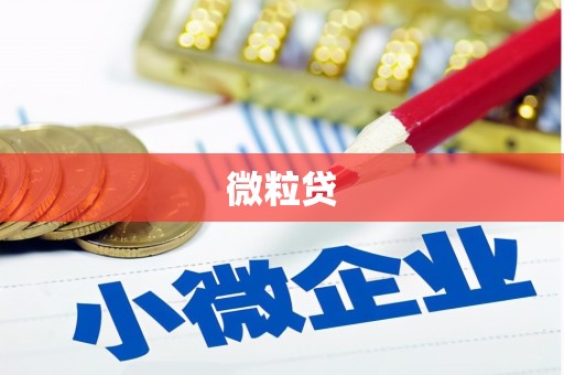 龙山微粒贷