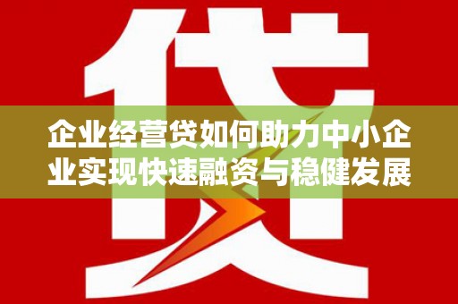 龙山企业经营贷如何助力中小企业实现快速融资与稳健发展