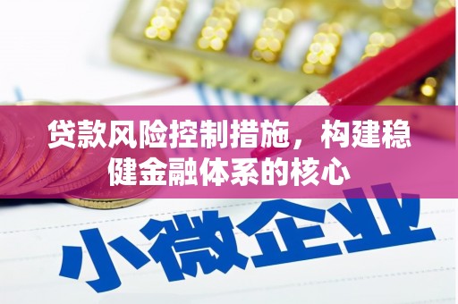 龙山贷款风险控制措施，构建稳健金融体系的核心