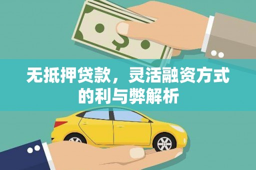 龙山无抵押贷款，灵活融资方式的利与弊解析