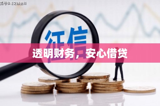 龙山透明财务，安心借贷