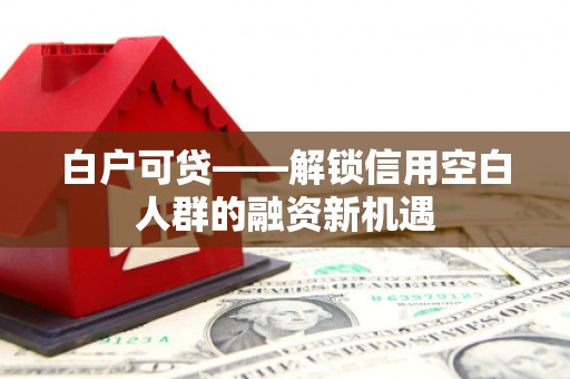 龙山白户可贷——解锁信用空白人群的融资新机遇