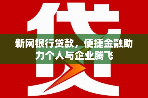 龙山新网银行贷款，便捷金融助力个人与企业腾飞