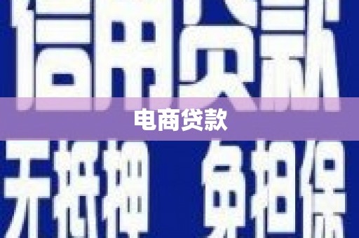 龙山电商贷款
