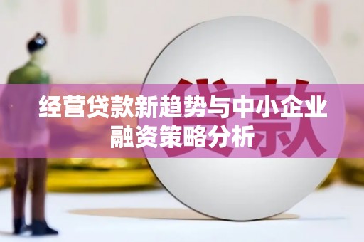 龙山经营贷款新趋势与中小企业融资策略分析