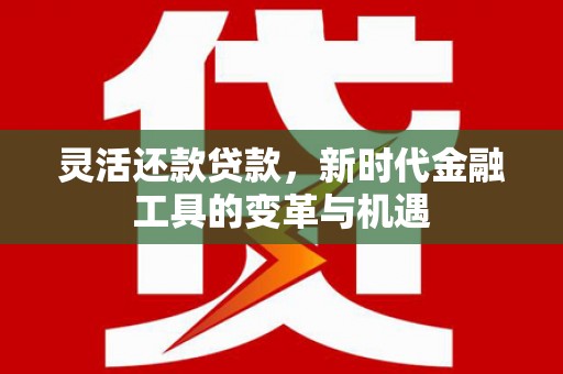 龙山灵活还款贷款，新时代金融工具的变革与机遇