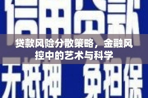 龙山贷款风险分散策略，金融风控中的艺术与科学