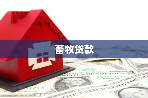 龙山畜牧贷款
