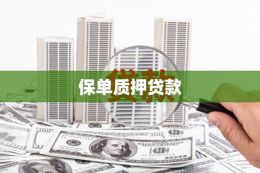 龙山保单质押贷款