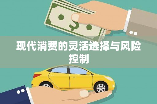 龙山现代消费的灵活选择与风险控制