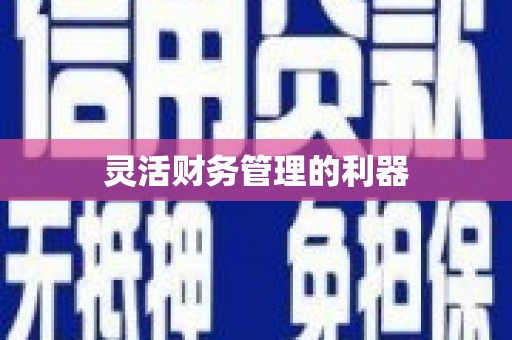 龙山灵活财务管理的利器