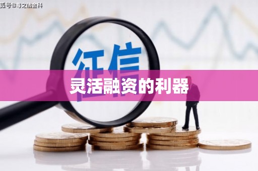 龙山灵活融资的利器