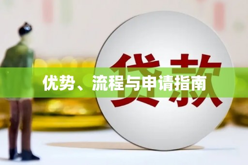 龙山优势、流程与申请指南