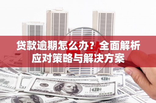 龙山贷款逾期怎么办？全面解析应对策略与解决方案