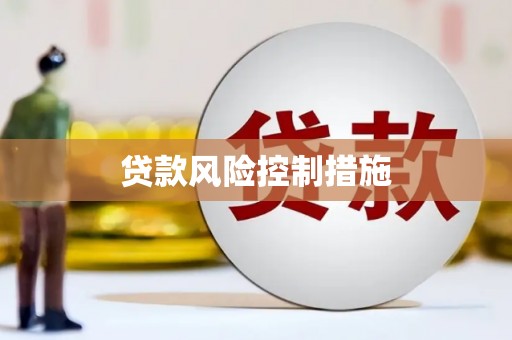 龙山贷款风险控制措施