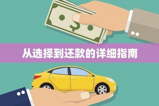 龙山从选择到还款的详细指南