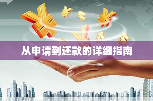 龙山从申请到还款的详细指南