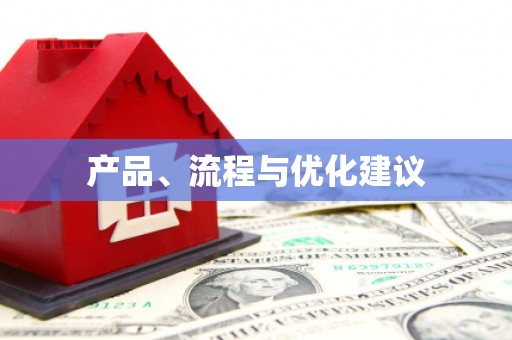 龙山产品、流程与优化建议