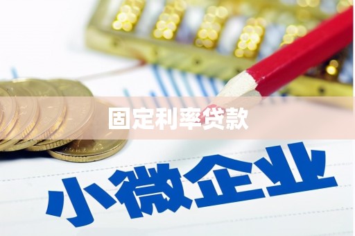 龙山固定利率贷款