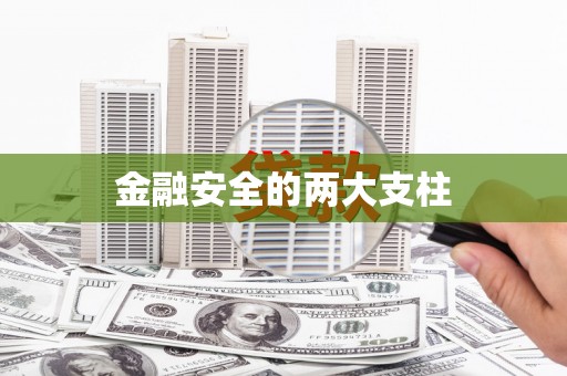 龙山金融安全的两大支柱