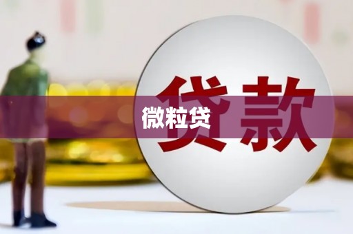 龙山微粒贷