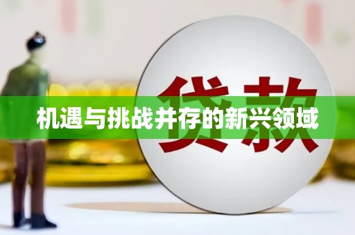 龙山机遇与挑战并存的新兴领域