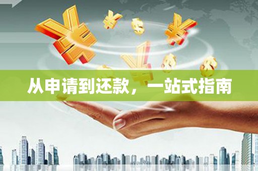 龙山从申请到还款，一站式指南