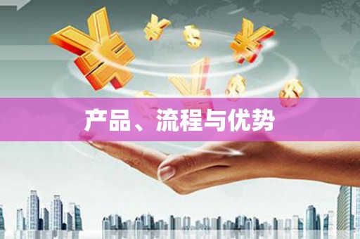 龙山产品、流程与优势