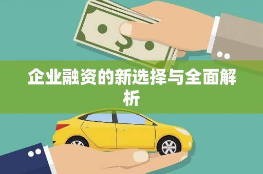 龙山企业融资的新选择与全面解析