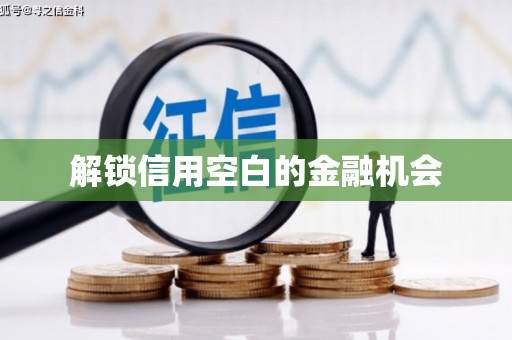 龙山解锁信用空白的金融机会