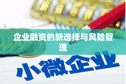 龙山企业融资的新选择与风险管理