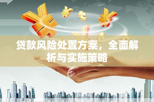龙山贷款风险处置方案，全面解析与实施策略