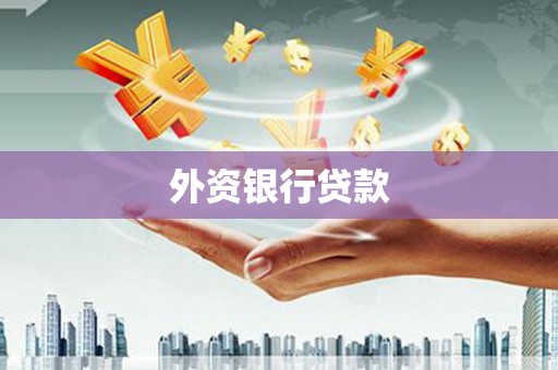 龙山外资银行贷款