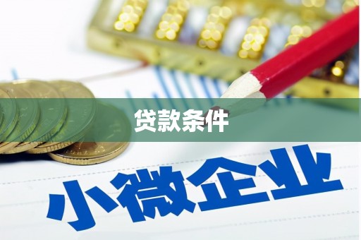 龙山贷款条件