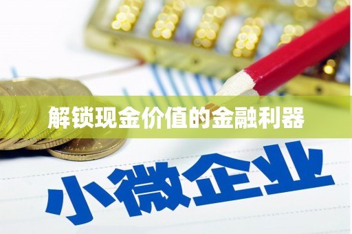 龙山解锁现金价值的金融利器