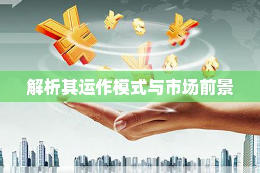 龙山解析其运作模式与市场前景