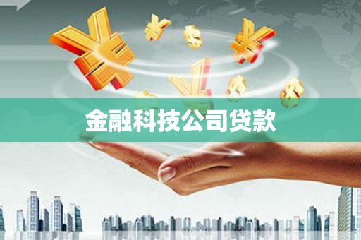 龙山金融科技公司贷款