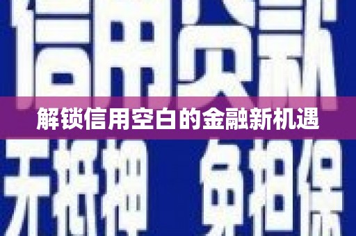 龙山解锁信用空白的金融新机遇