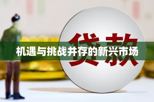 龙山机遇与挑战并存的新兴市场