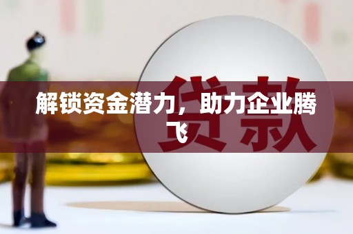 龙山解锁资金潜力，助力企业腾飞