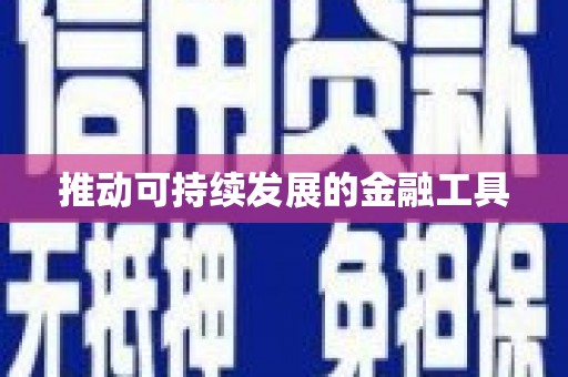 龙山推动可持续发展的金融工具