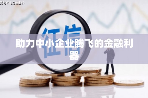 龙山助力中小企业腾飞的金融利器